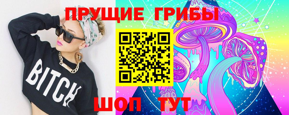 Галлюциногенные грибы Psilocybine cubensis Егорьевск